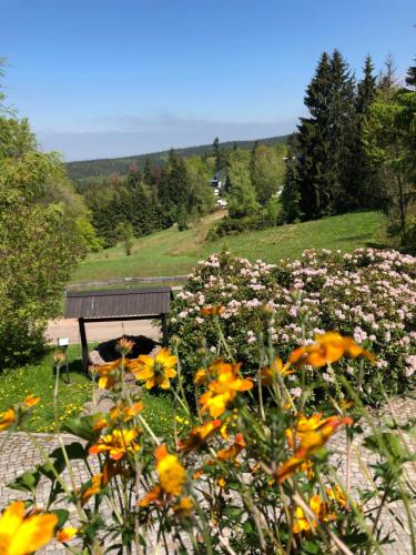 Helenenhof Kurort Altenberg allemagne