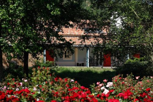 Séjour à la campagne Herdade da Matinha Country House & Restaurant Cercal Do Alentejo Cercal