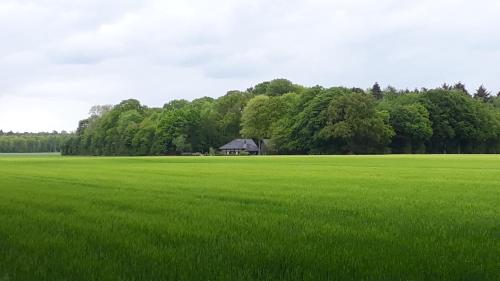 Maison de vacances Heuerhaus Gut Einhaus Gut-Einhaus-Strasse 35 Werlte