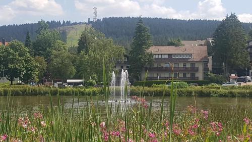 Hexenglück und Hexenzauber Hahnenklee Goslar allemagne