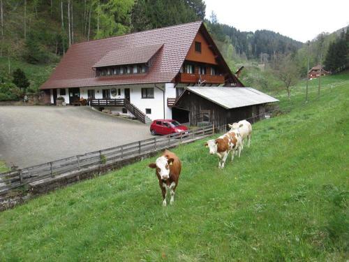 Appartement Hinterkimmighof-2 Otto Lehmann Zuwald 16 Oberharmersbach