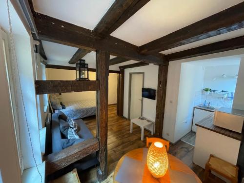 Historical town center cosy flat Colmar france