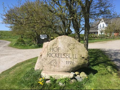 Hof Rickelsbüll - Nordseeurlaub auf dem Biobauernhof Rodenäs allemagne