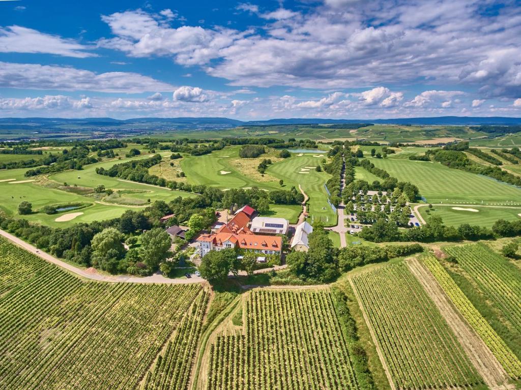 Hôtel Hofgut Wißberg - Das Weinberghotel Hofgut Wißberg, 55578 Sankt Johann