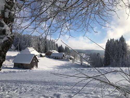 Maison d'hôtes Höhengasthaus Kolmenhof an der Donauquelle Neuweg 11 Furtwangen im Schwarzwald