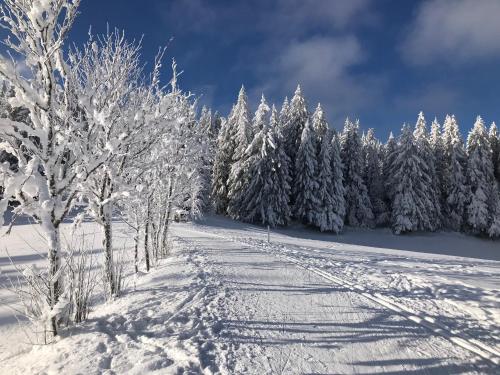 Höhengasthaus Kolmenhof an der Donauquelle Furtwangen im Schwarzwald allemagne