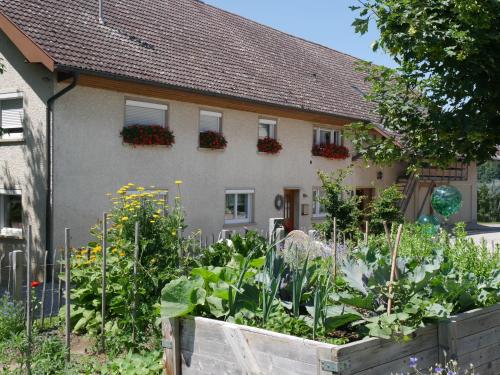 Höhlerhof Friedrichshafen allemagne