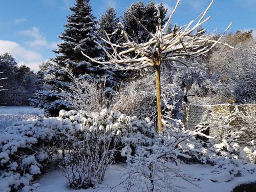 Maison de vacances Holiday home in Coswig 3105  Möllensdorf