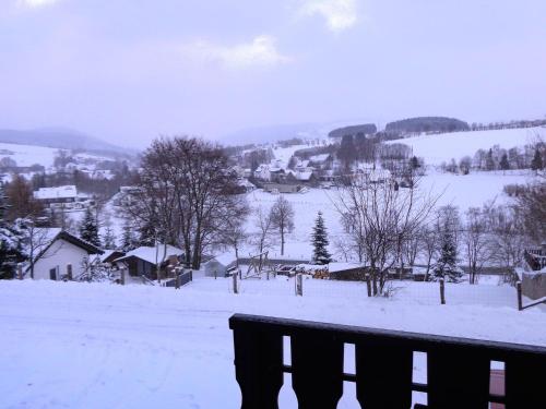 Holiday home in Winterberg Gr nebach with terrace Winterberg allemagne