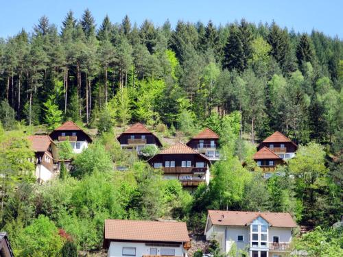 Holiday Home Sonnenschein Hornberg allemagne