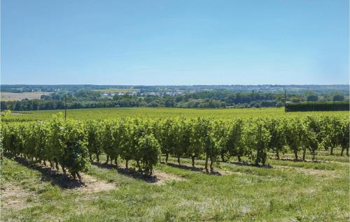 Holiday home St Jean de Mauvrets L-922 Saint-Mélaine-sur-Aubance france