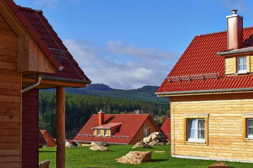 Holiday homes in the Schierke Harzresort on the Brocken, Schierke Schierke allemagne