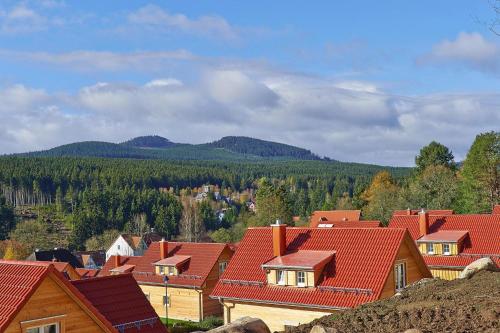 Maison de vacances Holiday homes in the Schierke Harzresort on the Brocken, Schierke  Schierke