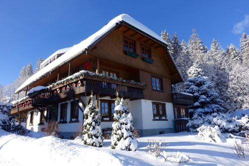 Hollhouse - Bed & Breakfast Hinterzarten allemagne