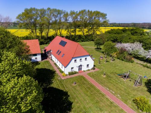 Holsteinhaus-Zirmoisel Rappin allemagne