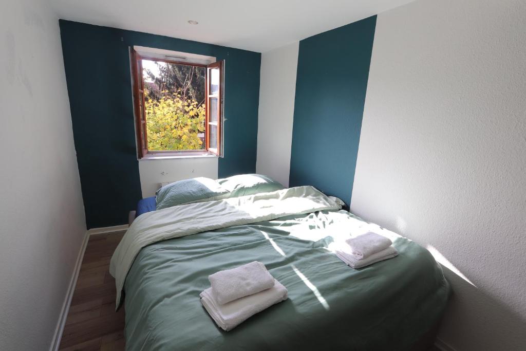 Appartement homday cultivateur 3 9 Rue des Cultivateurs, 67500 Haguenau