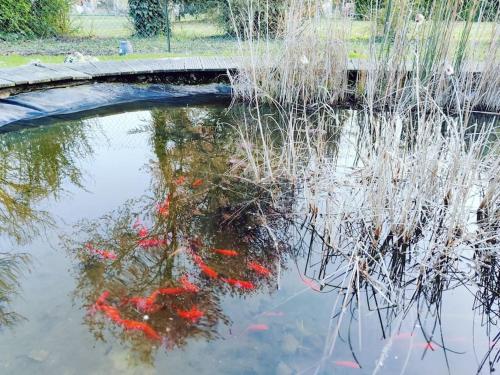 Honey Home Cottage : A Warm Welcome dans le Loiret Bouzenville-aux-Bois france