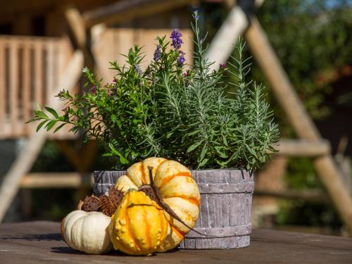 Séjour à la ferme Hörlhof - Chiemgau Karte Breitmoos 21 Inzell