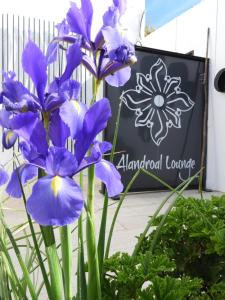 Alandroal Guest House-Hotel de Charme