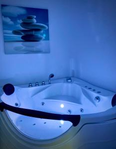 Hôtel Albhotel Fortuna Hegwiesenstrasse 20 72585 Riederich Bade-Wurtemberg