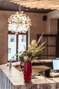 alexxanders Hotel & Boardinghouse, Restaurant