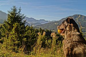 Alpenhof Reuterwanne
