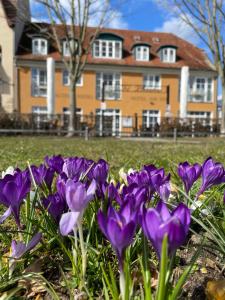 Altes Kasino Hotel am See