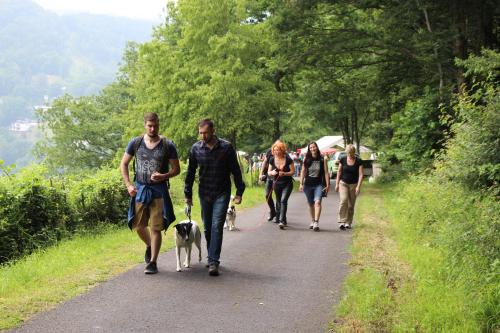 Hotel am Goetheberg Obernhof allemagne