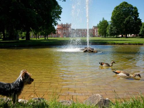 Hotel Am Schlosspark , Wiesbaden Wiesbaden allemagne