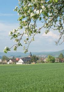 Hôtel Annas Gästehaus Pautzfelder Straße 36 91352 Hallerndorf Bavière