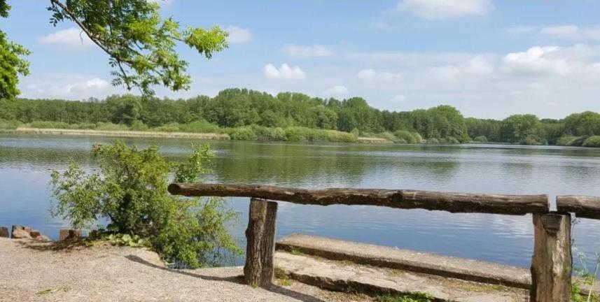 Aparthotel & Wohnungen am Norderteich 27 Entenkrugweg, 32805 Horn-Bad Meinberg