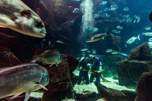 Aqua Natura Madeira
