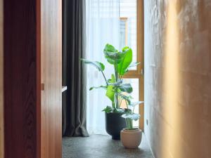 Hôtel ArtBau Designhotel 19 Kastelbergstraße 79183 Waldkirch Bade-Wurtemberg