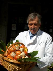 Hôtel Auberge De L'Atre Les Lavaults 89630 Quarré-les-Tombes Bourgogne