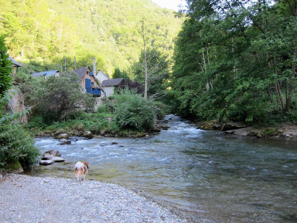 Hôtel Auberge des Deux Rivières Pont De La Taule 09140 Seix