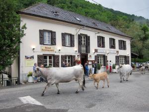 Auberge des Deux Rivières