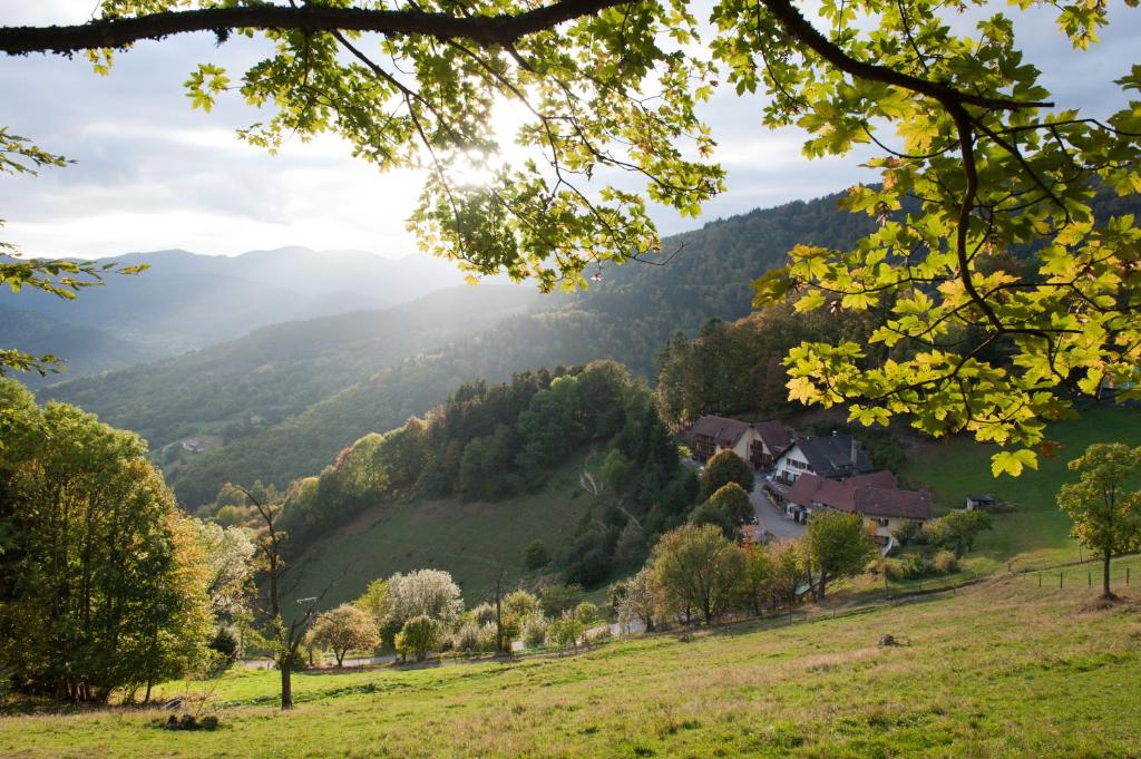 Hôtel Auberge Du Mehrbachel 72, mehrbächel 68550 Saint-Amarin