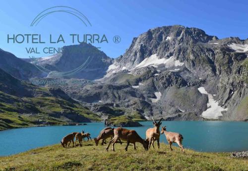 Auberge La Turra