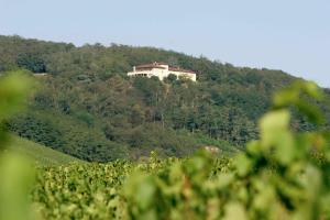 Hôtel Auberge Les Hauts De Chenas La Roche Perrier, 113 Chemin des Hauts de Chenas. 69840 Chénas Bourgogne