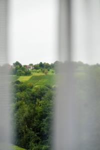BASE I - Das Budget Hotel bei Basel (Lörrach)