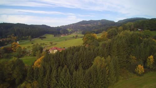 Hotel Bayerischer Wald Neukirchen allemagne