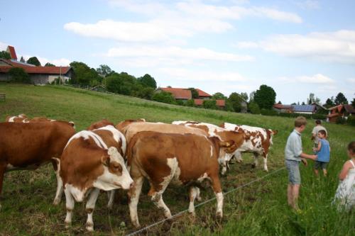 Beim Huber in Linden
