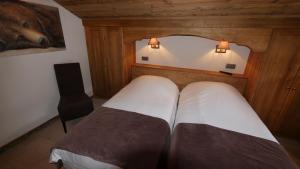 Hôtel Bel'alpe 239 Taille de mas des frênes 74110 Morzine Rhône-Alpes