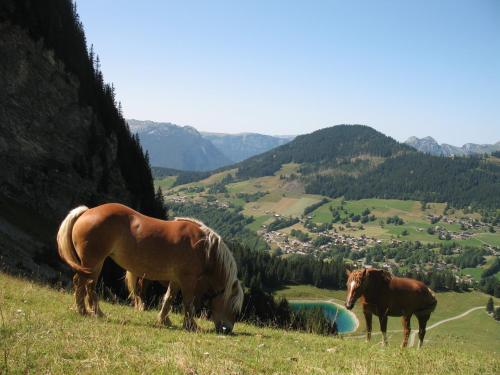 Hôtel Hôtel Bellachat 3815 Route des Confins La Clusaz