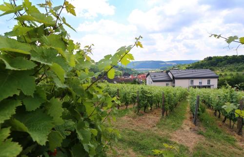 BENZ Weingut & Weinhotel