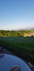 Berg Hotel Weingarten