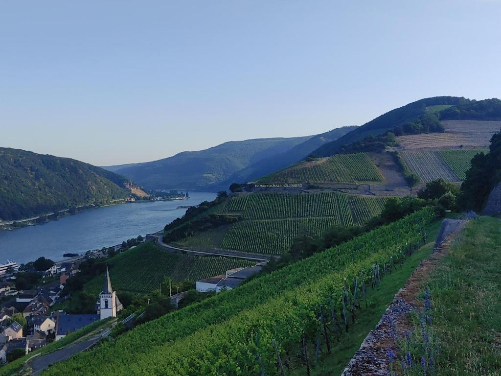 Berg´s Backpacker Niederwaldstraße 23, 65385 Rüdesheim am Rhein