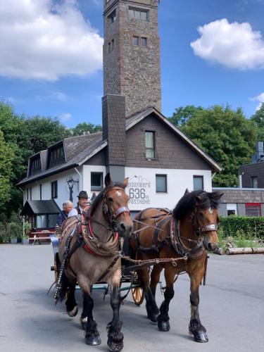Berggasthof Eisenberg