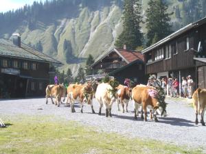Berggasthof Obere Firstalm