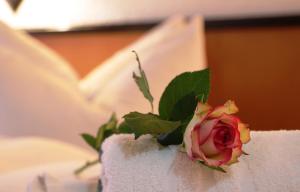 Hôtel Berghotel Steiger - Erzgebirge Oberer Krankenhausweg 2a 08289 Schneeberg Saxe